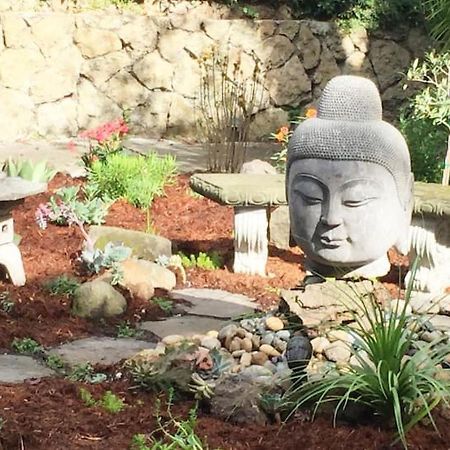 Serene Charming Private Suite Patio, Upscale ברקלי מראה חיצוני תמונה